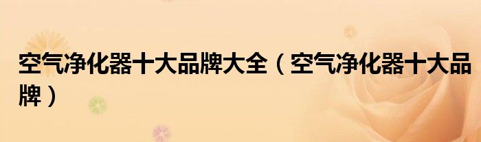 亚星游戏官网入口空气净化器十大品牌大全（空气净化器十大品牌）